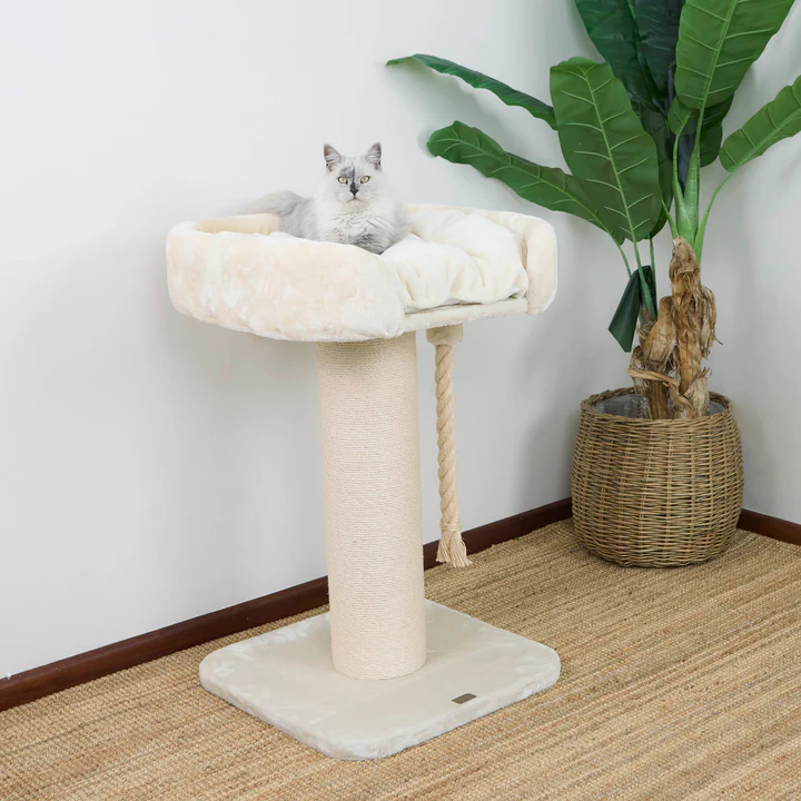 High Bed Cat Scratch Post – Cream Plush