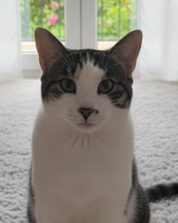 Franklin